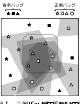 図 2 正例バッグの領域の例 Fig. 2 A example of a positive bag area.