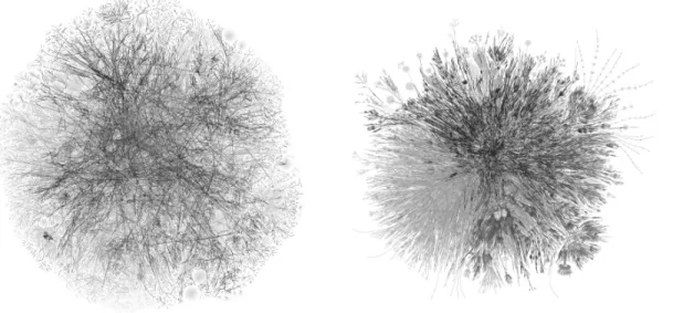図 11 model D の可視化結果．左は LGL 法，右は提案法によるもの Fig. 11 Left and right are the layout results of model D with the LGL method