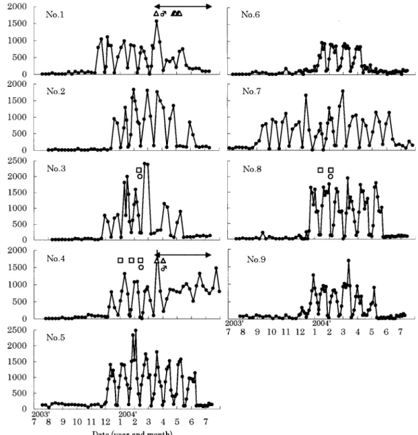 Fig. 1. Seasonal changes in serum progesterone concentrations of the female bharals.  : Chasing behavior to other females
