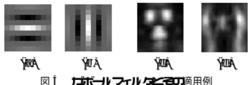 Fig. 3 Examples of Gabor filters and Gabor features.
