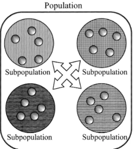 図 2 セルラー遺伝的アルゴ リズム Fig. 2 A cellular genetic algorithm.