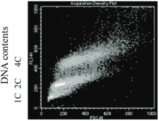 Fig. 2. DNA contents and cell sizes of the diploid strains.   