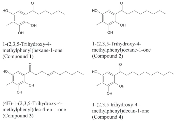 Figure 4. Structure of isolated compound 1–4 of S. polyanthum leaf 