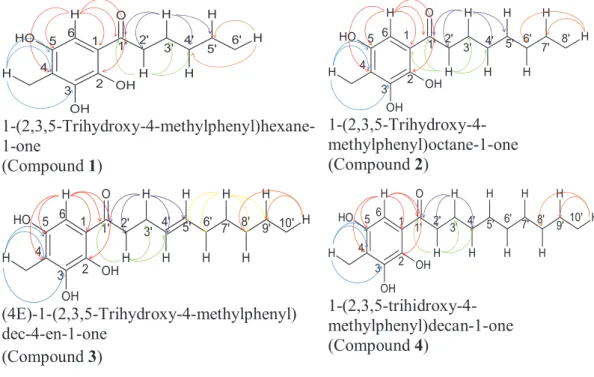 Figure 5. HMBC correlation of compound 1~4 