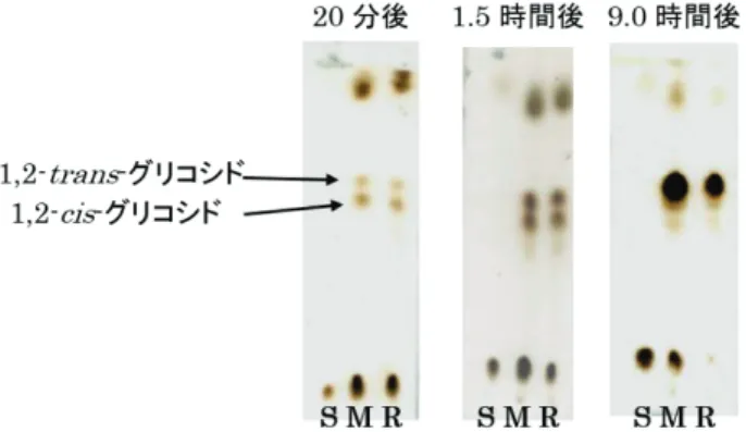 Fig. 2 ౪୚య 24 ࢆ⏝࠸ࡓࢢࣜࢥࢩࢻ໬཯ᛂ࡟࠾ࡅࡿ཯ᛂ㏣㊧ TLC  
