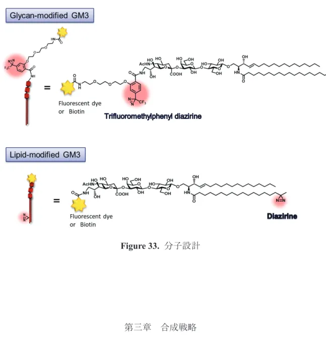 Figure 33.  ศᏊタィ ➨୕❶ ྜᡂᡓ␎ ึࡵ࡟ࠊ஧ᐁ⬟ᛶ GM3 ࣉ࣮ࣟࣈࡢྜᡂᡓ␎࡟ࡘ࠸࡚㏙࡭ࡿࠋග཯ᛂᛶࡢࢪ࢔ࢪࣜࣥᇶࡣ UV ↷ᑕ࡛ᐜ᫆࡟࢝ࣝ࣋ࣥࢆ⏕ᡂࡍࡿ୙Ᏻᐃ࡞ᛶ㉁ࢆ⪃៖ࡋࠊྜᡂࡢ⤊┙࡟ᑟධࡍࡿ࡭ࡁ࡛ ࠶ࡿ࡜⪃࠼ࡓࠋࡑࡋ࡚ࠊ⢾㙐ಟ㣭ᆺࣉ࣮ࣟࣈ୪ࡧ࡟⬡㉁ಟ㣭ᆺࣉ࣮ࣟࣈࡢ࢞ࣥࢢࣜ࢜ࢩࢻ㦵 ᱁ࡣࠊ⬡㉁ࡢຠ⋡ⓗ࡞ᑟධࢆ≺࠸ࠊ Glc-Cer ཷᐜయ 4 ࡜ࠊ᪂つ Glc-Sph ཷᐜయ 92 ࡟ࡼࡿ࢝ࢵ ࢭࢵࢺ࢔ࣉ࣮ࣟࢳ࡛ྛࠎᵓ⠏ࡍࡿࡇ࡜࡜ࡋࡓࠋࡇࡢ஧Ⅼࢆ㋃ࡲ࠼࡚ࡑࢀࡒࢀࡢග཯ᛂᛶ GM3 ࣉ