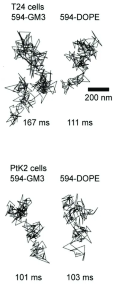 Figure 16. 594-S9-GM3 ࡢᣑᩓ㌶㊧