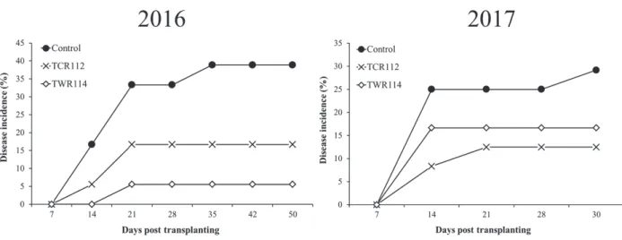 Figure 8. Effect of  weekly drenching of non-pathogenic Ralstonia  sp.  TCR112 and  Mitsuaria  sp