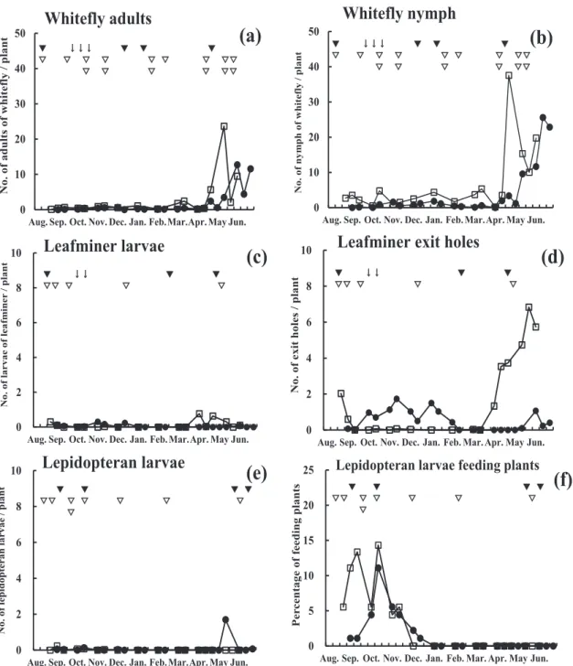 Fig. 4. Number of (a) whitefly adults, (b) whitefly nymph, (c) leafminer larvae, (d) leafminer exit  holes, and (e) Lepidopteran larvae per plant and (f) percentage of feeding plants