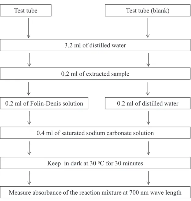Fig. 11. Flow diagram of the procedures in polypehnol contents assay. 