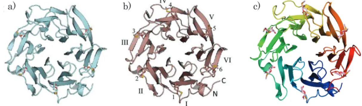 Fig. 12 Determined structure of AOL complexed with a) α-MeSe-Fuc 1α, b) β-MeSe-Fuc 1β and  c) 2-MeSe-Fuc 2 
