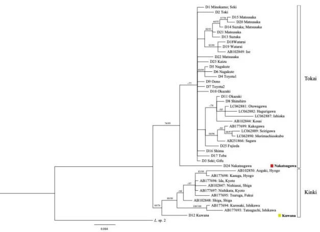Fig II-4 Bayesian phylogenetic tree of the 872-bp control region sequences of Lefua 