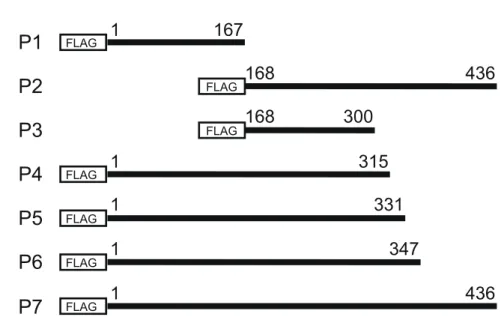 Fig. 1   Yasui et al.