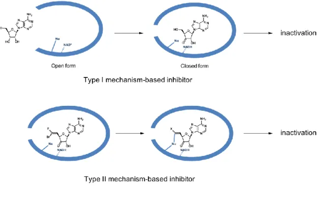 Figure 18. Type I Type II