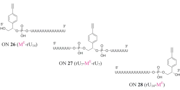 Fig. 4-1. M E 䜢 䜢ᑟධ䛧䛯 DNA 䠄 ON 26 䚸 ON 27 䚸 ON 28 䠅䛾㓄ิ