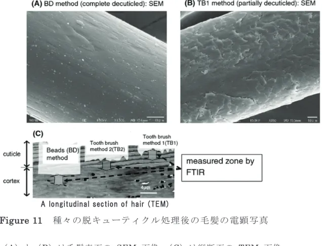 Figure 11  ✀ࠎࡢ⬺࣮࢟ࣗࢸ࢕ࢡࣝฎ⌮ᚋࡢẟ㧥ࡢ㟁㢧෗┿ 