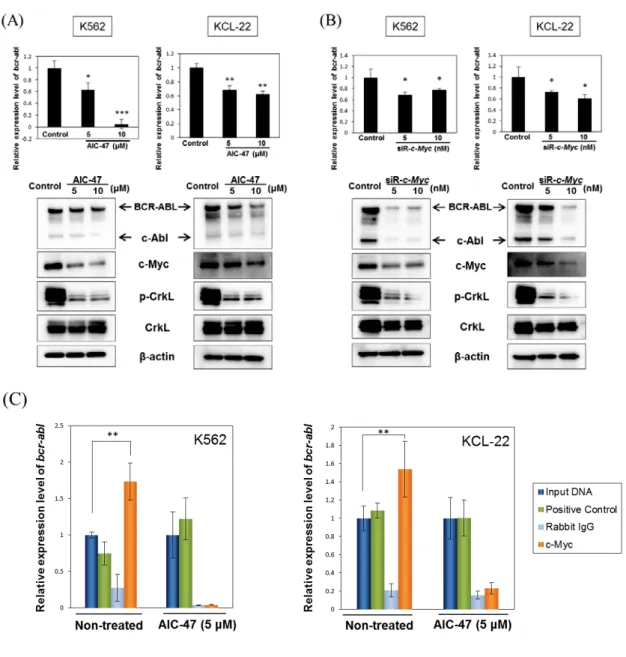 Fig. 10  Transcriptional repression of BCR-ABL by AIC-47 was induced through  down-regulation of c-Myc.