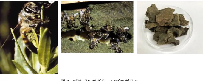 図 6.  ブラジル産グリーンプロポリス 