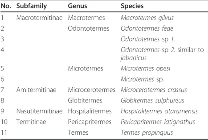 Table 1 Species of Termitidae found in the surveyed area No. Subfamily Genus Species