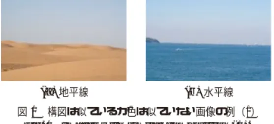 図 1 構図は似ているが色は似ていない画像の例（1）