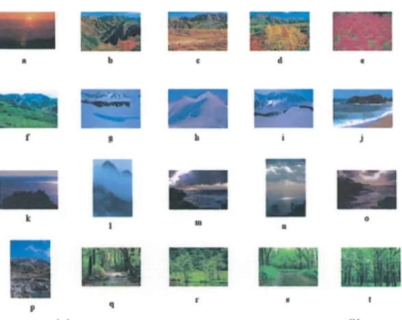 図 10 対象とした静止画像メデ ィアデータセット-A Fig. 10 Image data set-A for experiments.