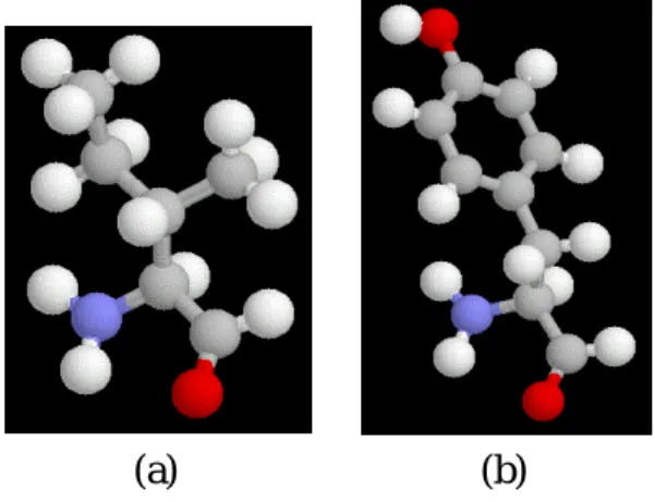 Fig. 2 (a) Conformation ﬁle and (b) the subtree obtained from the conformation ﬁle.