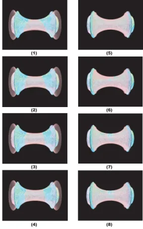 Fig. 13 The convergent characteristic of the paramet- paramet-ric data. Views (1)-(8) show gradual  conver-gence to the data of the revolution surface of a 2D catenary.