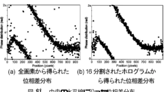 図 13 分割されたホログラムと再生像