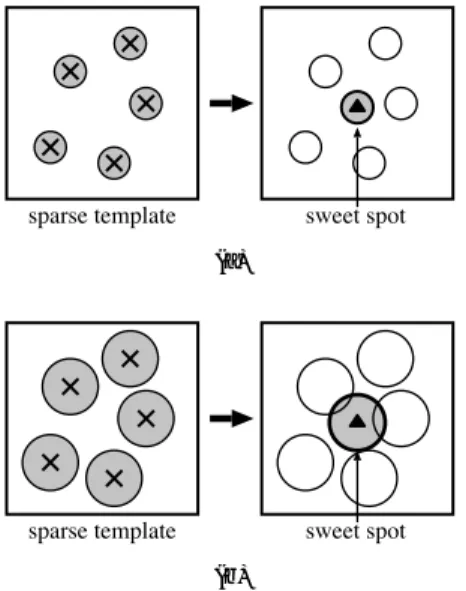 Fig. 3 Point sampling criterion for continuous region model. イートスポットがある程度小さな疎テンプレートを作 成する必要がある． なお，適切なスイートスポットサイズは，物体追跡を 制御する系の特性に依存すると考えられる．  condensa-tion 法等の確率的探索と組み合わせる場合，探索範囲 をどの程度絞り込めるかによって，適切なスイートス ポットサイズが決まる．探索範囲を広くとる必要があ る場合には，ある程度の大きさを持つスイートスポッ ト