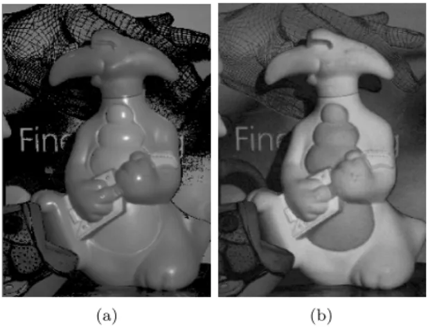Fig. 13 (a) Normalized input image. (b) Specular-free image by setting ˜ Λ  = 0.5. The specular  com-ponents are perfectly removed, but the surface color is diﬀerent.