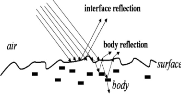 Fig. 1 The mechanism of reﬂected light on inhomogeneous opaque surface.