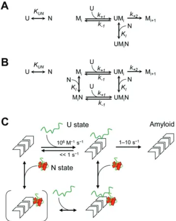 Figure 5.  (A) Uncompetitive inhibition model (Equation 3). (B) Noncompetitive inhibition model  (Equation 4)