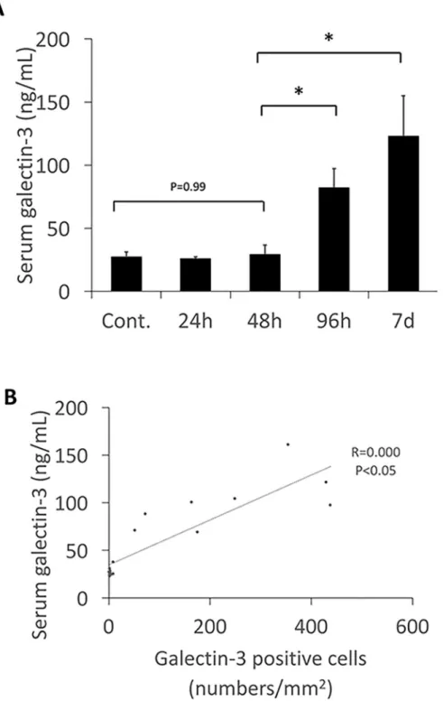 Fig 4. A, The serum level of galectin-3. Serum level of galectin-3 increased markedly 96 hours after virus inoculation, and continued to increase until 7 days