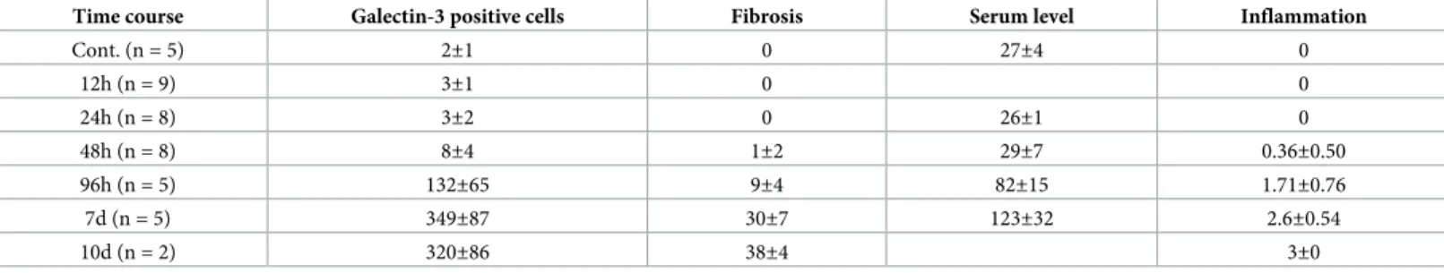 Table 1. Time course of the morphological changes (HE staining), galectin-3 positive cell numbers, the degree of the fibrosis, the serum level of the galectin-3 in the cardiac tissues after virus inoculation.