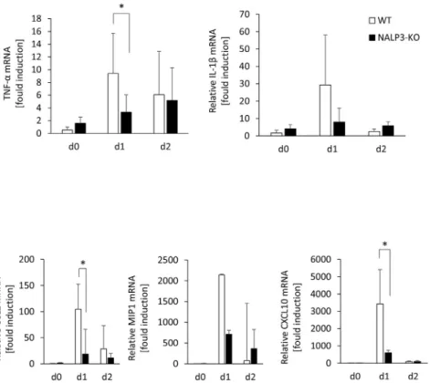 Fig. 3. The relative mRNA expression of TNF- a , IL-1 b , CCL2, MIP1 a , and CXCL10 in the liver of GalCer-treated WT and NALP3-KO mice were measured using quantitative real-time RT-PCR