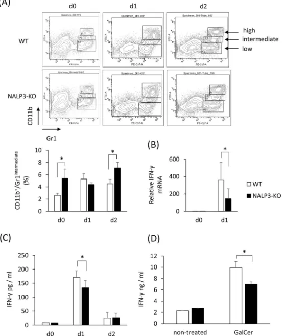 Fig. 4. The frequency of CD11b þ /Gr-1 intermediate cells in WT mice and NALP3-KO mice treated with GalCer