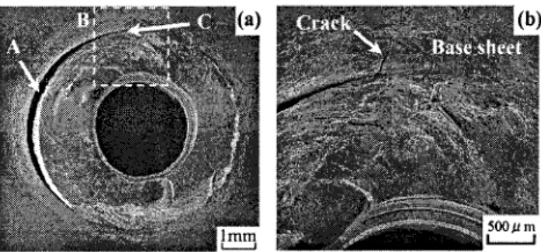 Fig. 15   Optical micrographs showing LS view of