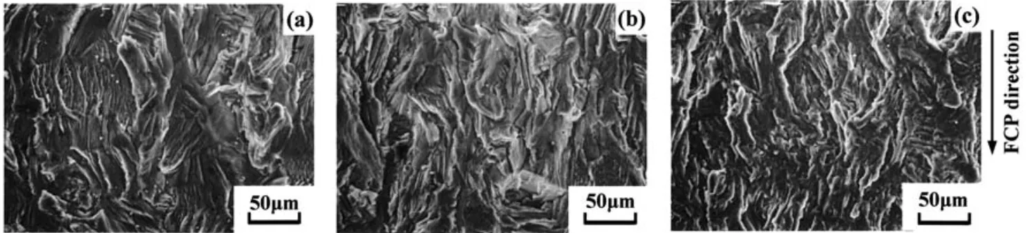 Fig. 10   SEM micrographs of fracture surfaces for AZ61 in laboratory air : (a)  Δ K = 2.5MPam1 1/2 , (b)  Δ K = 3.0MPam 1/2 , (c)  Δ K = 5.0MPam 1/2 .