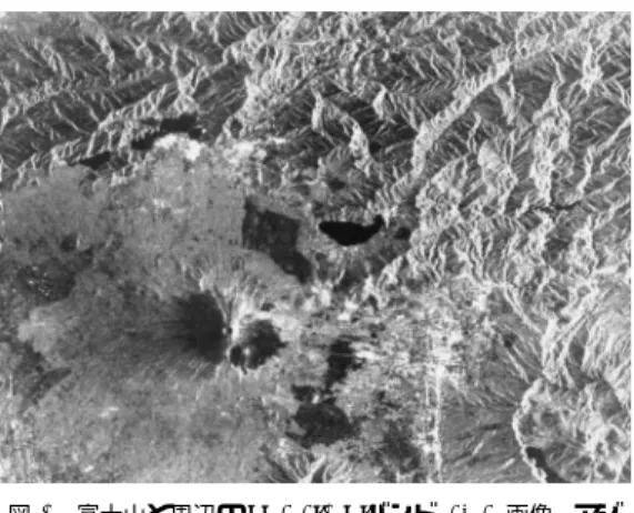 Fig. 1 JERS-1 L-band SAR image of Mt. Fuji and a surrounding area. The azimuth (ﬁght)  di-rection is from top to bottom, and the range (illumination) direction is from right to left.