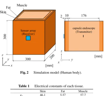 Table 1 Electrical constants of each tissue.