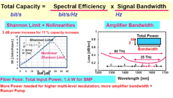 Fig. 2 Total capacity and its limiting factors.