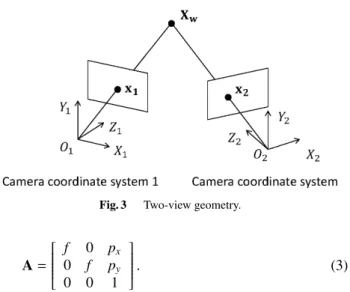 Fig. 2 Single-view geometry.