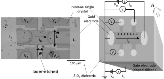 Fig. 13 Organic single crystal transistors shaped for the Hall eﬀect measurement.