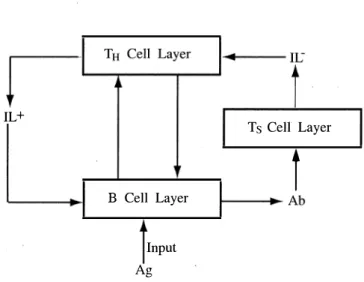 Figure 2 :   The  Engineering Immune  Network Model  various cells are participating in the immunity mech­
