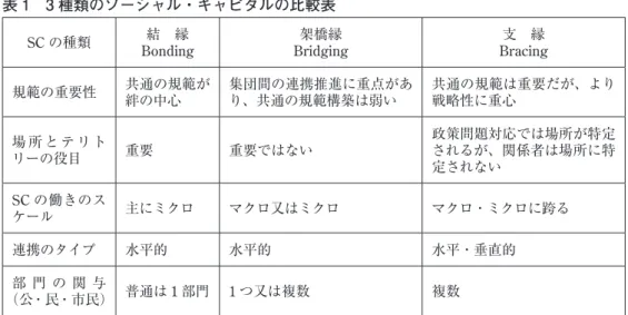 図 1　支縁ソーシャル・キャピタル・ネットワークのイメージ図　