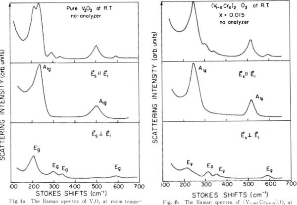 Table  1.  C r - substituting  inc reased  6v  by  seve ral  em- ',  with  the  exception  of  one  Eo  peak  the  6v� 210  em-'  of  which  was  not  changed  apprec iably