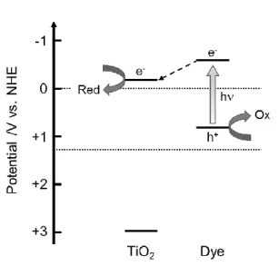 Fig.  9  Schematic  image  of  charge  transfer  mechanism of dye-sensitized photocatalysts