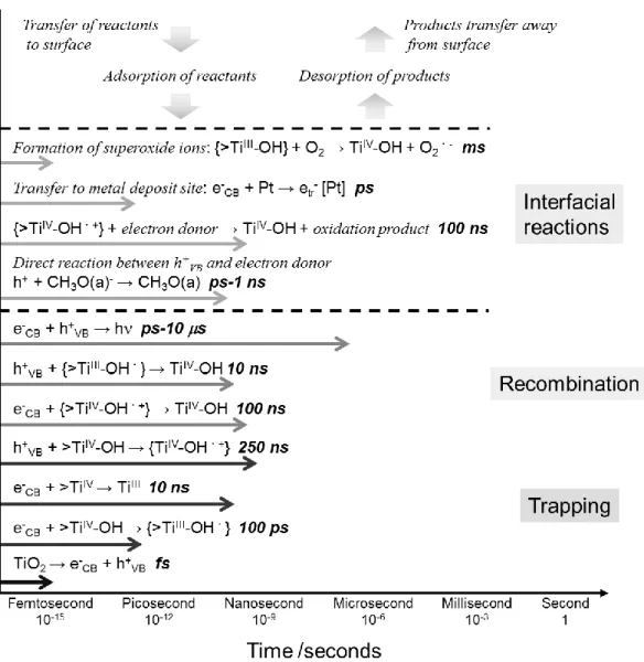 Fig. 1 Elementary reactions in TiO 2  photocatalysis with corresponding timescales. 