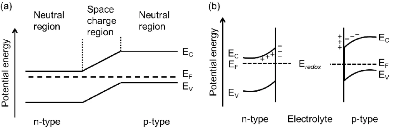 Fig. 2 Energy band diagrams of (a) p-n junction and (b) semiconductor-electrolyte interface