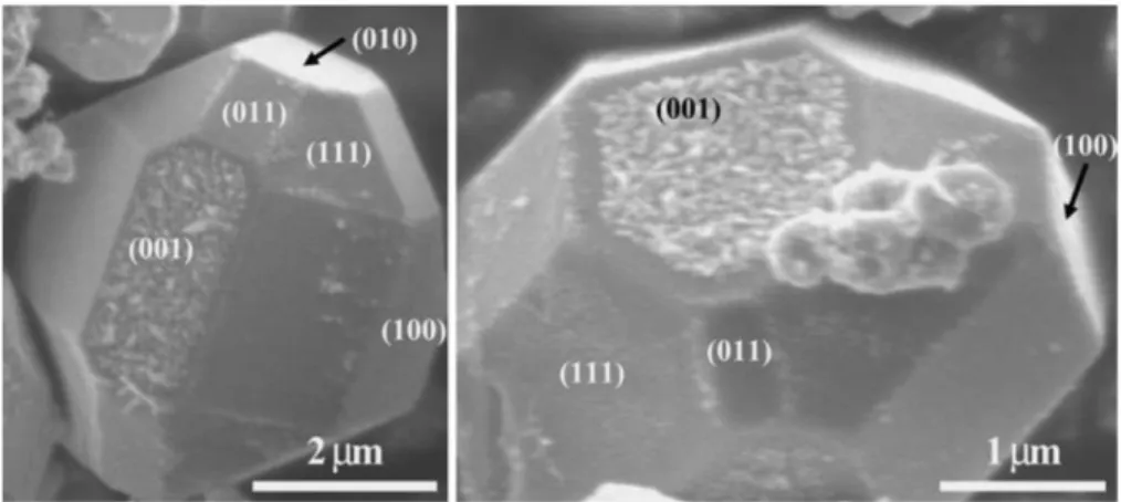 Figure 4 shows SEM images of BaTiO 3  crystals prepared after the photoirradiation in AgNO 3